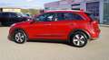 Kia Niro 1.6 Spirit Navi Sitzheizung Kamera Tempomat Rojo - thumbnail 8