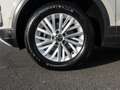 Volkswagen T-Roc 1.5 TSI DSG Life KLIMAA. LED Grigio - thumbnail 7