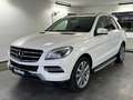 Mercedes-Benz ML 250 CDI BlueTec*PDC*Bi Xenon ILS*Sport* Weiß - thumbnail 3