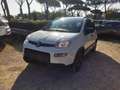 Fiat New Panda 1.0cc HYBRID CITY LIFE 70cv Bianco - thumbnail 2