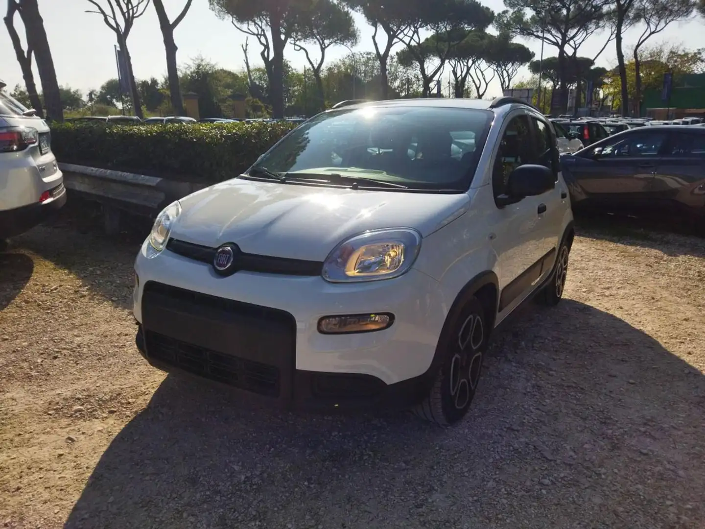Fiat New Panda 1.0cc HYBRID CITY LIFE 70cv Bianco - 2