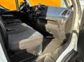 Iveco Daily 72C21 HI-MATIC FRIGO -20 Blanc - thumbnail 8