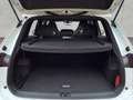 Volkswagen Tiguan 2.0 TDI 4Motion DSG R-Line Black Style NAVI Weiß - thumbnail 7