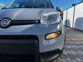 Fiat Panda Panda 1.0 firefly hybrid City Life s Grijs - thumbnail 8