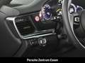 Porsche Panamera 4 E-Hybrid ST Platinum Edition/ Sportsitze Ambient Grün - thumbnail 24