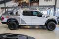 Ford F 150 Raptor R Alb - thumbnail 6