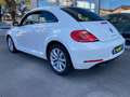 Volkswagen Maggiolino 2.0 tdi bm Design 110cv cambio manuale Euro6B Blanc - thumbnail 7