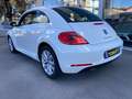 Volkswagen Maggiolino 2.0 tdi bm Design 110cv cambio manuale Euro6B Blanc - thumbnail 4