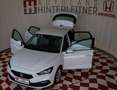 SEAT Leon TSI Style / NAVI / LED / WINTER-PAKET Weiß - thumbnail 8
