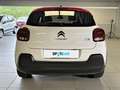 Citroen C3 PureTech 83 S&S Shine Bianco - thumbnail 4