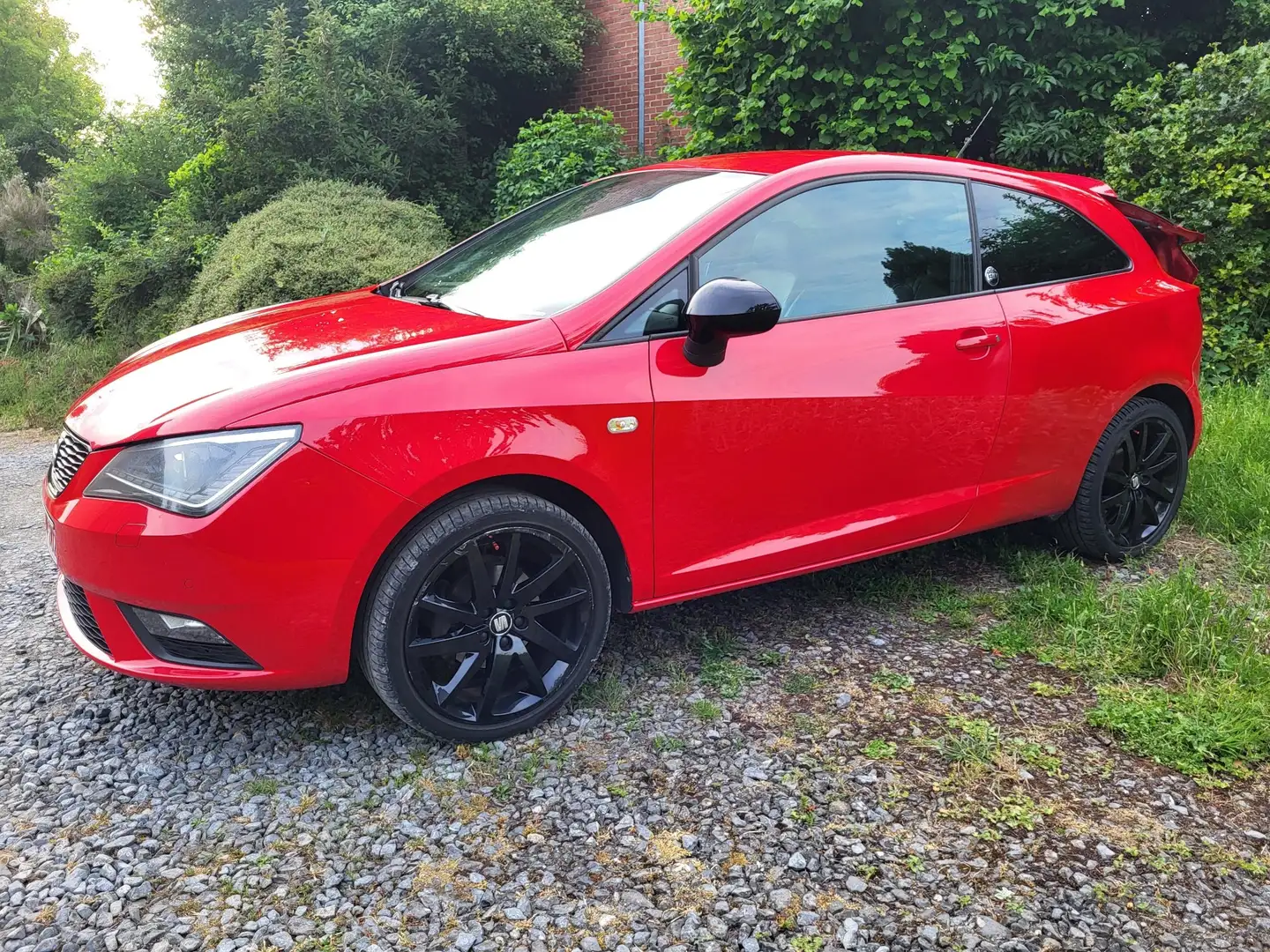 SEAT Ibiza 1.6 CR TDi Style Rouge - 1