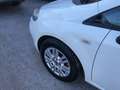 Fiat Punto Evo 5p 1.3 mjt II 16v Lounge eco s Weiß - thumbnail 15