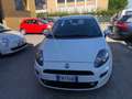 Fiat Punto Evo 5p 1.3 mjt II 16v Lounge eco s Weiß - thumbnail 3