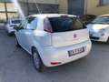 Fiat Punto Evo 5p 1.3 mjt II 16v Lounge eco s Weiß - thumbnail 7
