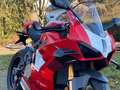 Ducati Panigale V4 R 2024  sofort startklar Czerwony - thumbnail 7
