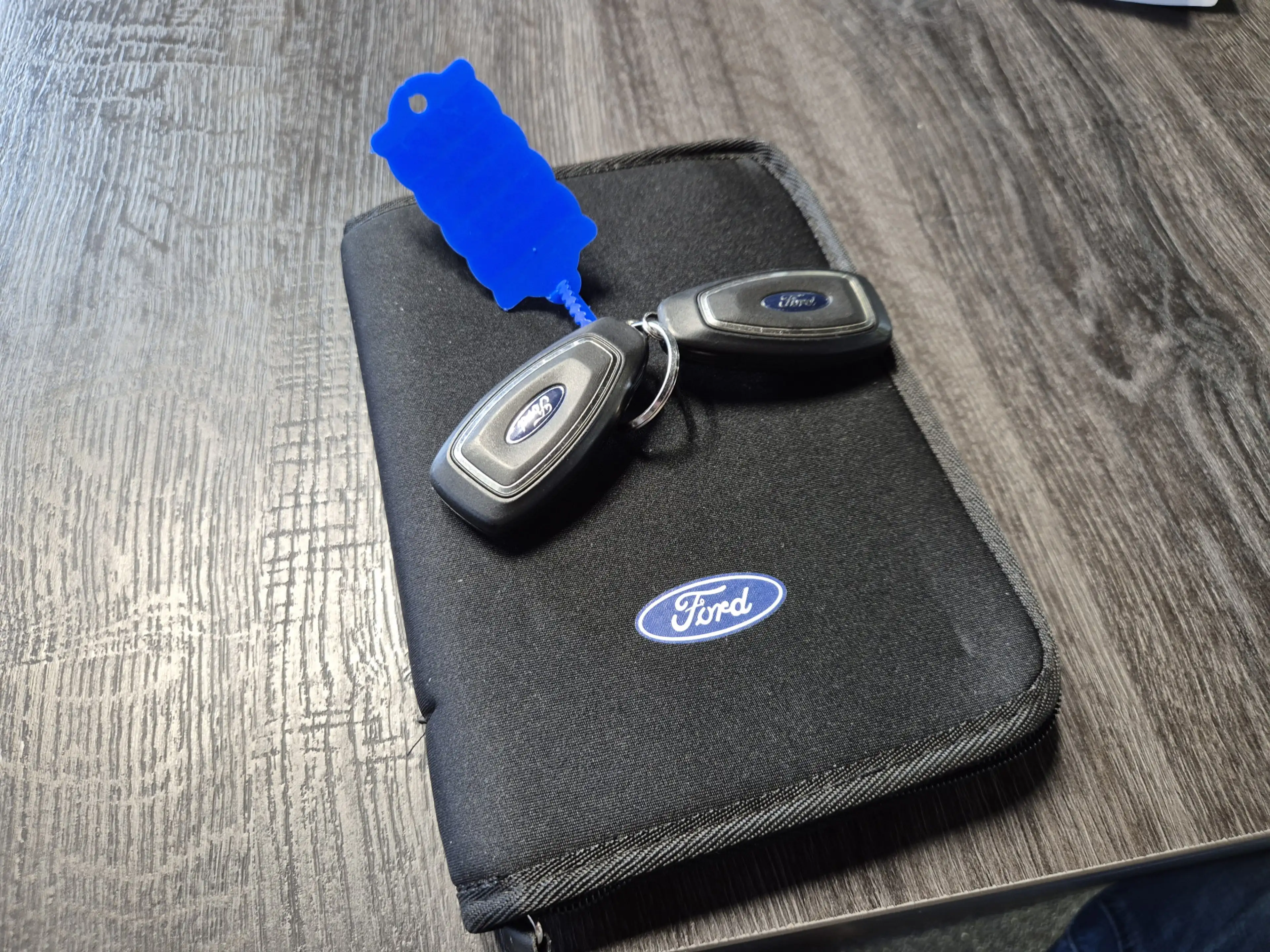Ford Kuga 2.5 PHEV ST-Line Vignale Winterpack | Camera | Pan — photo 41