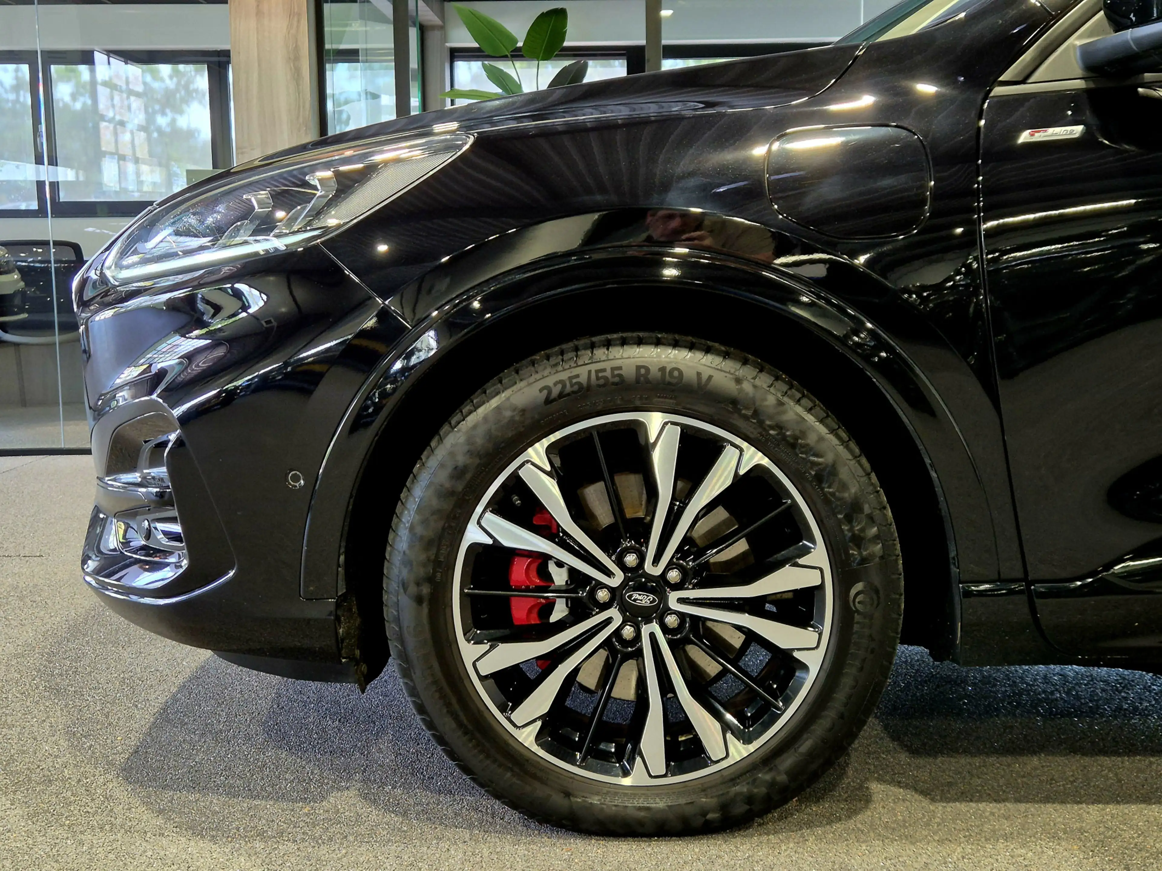 Ford Kuga 2.5 PHEV ST-Line Vignale Winterpack | Camera | Pan — photo 9