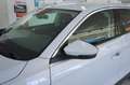 Volkswagen T-Roc 2.0 TDI DSG 150 CV Business BlueMotion Technology Wit - thumbnail 25
