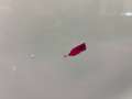 Citroen C4 SOCIETE BLUEHDI 100 LIVE White - thumbnail 37