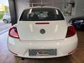 Volkswagen Maggiolino 1.2 tsi Design*NEOPATENTATI Blanc - thumbnail 5
