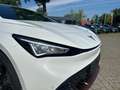 CUPRA Born / UPE: 54.300,- € / 77kWh HUD StandHZG NAV Beats 3 Weiß - thumbnail 16