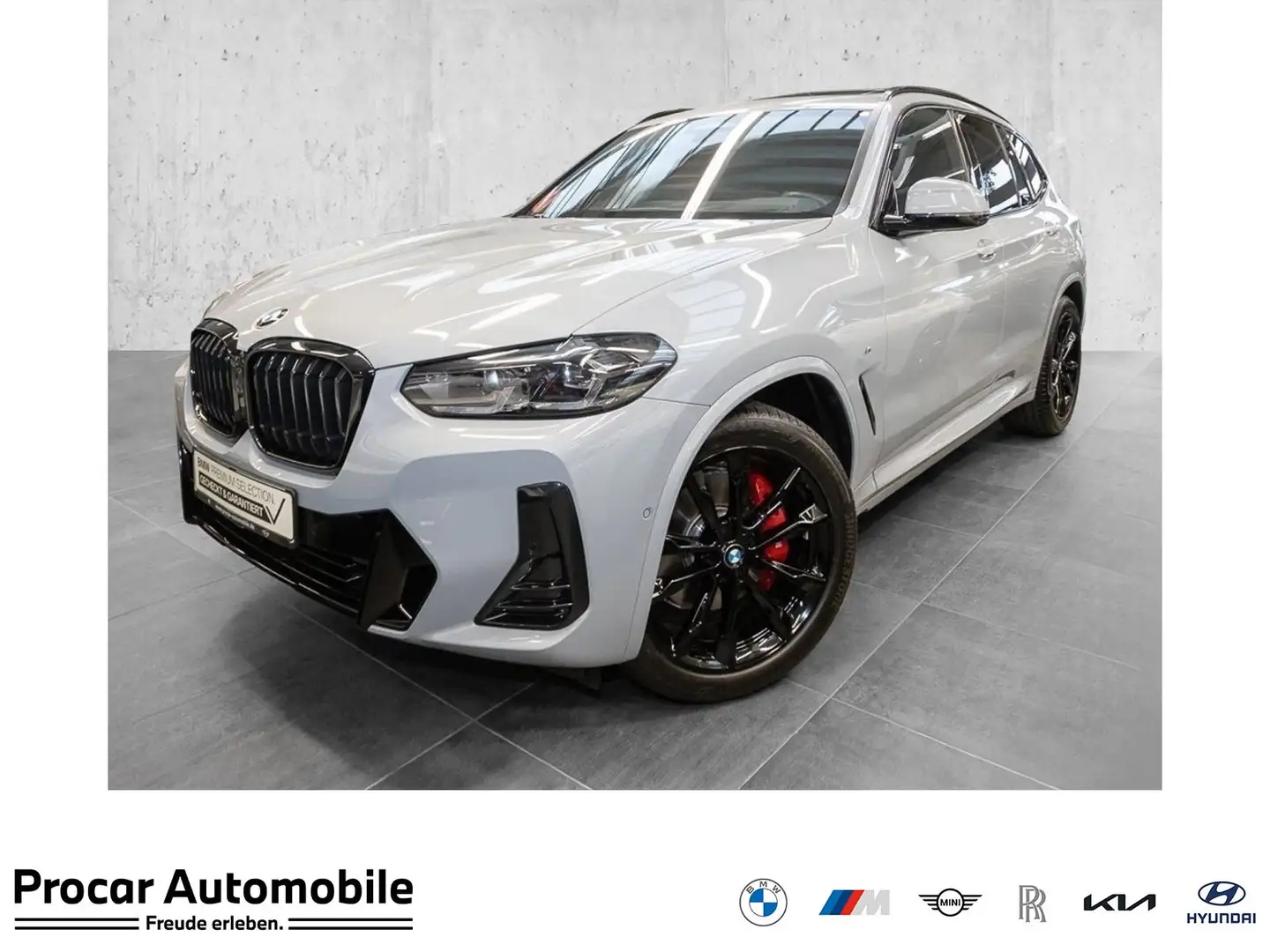 BMW X3 xDrive30d M Sportpaket Head-Up HK HiFi DAB Grau - 1