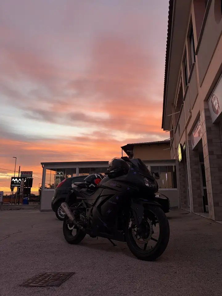Kawasaki Ninja 250 R