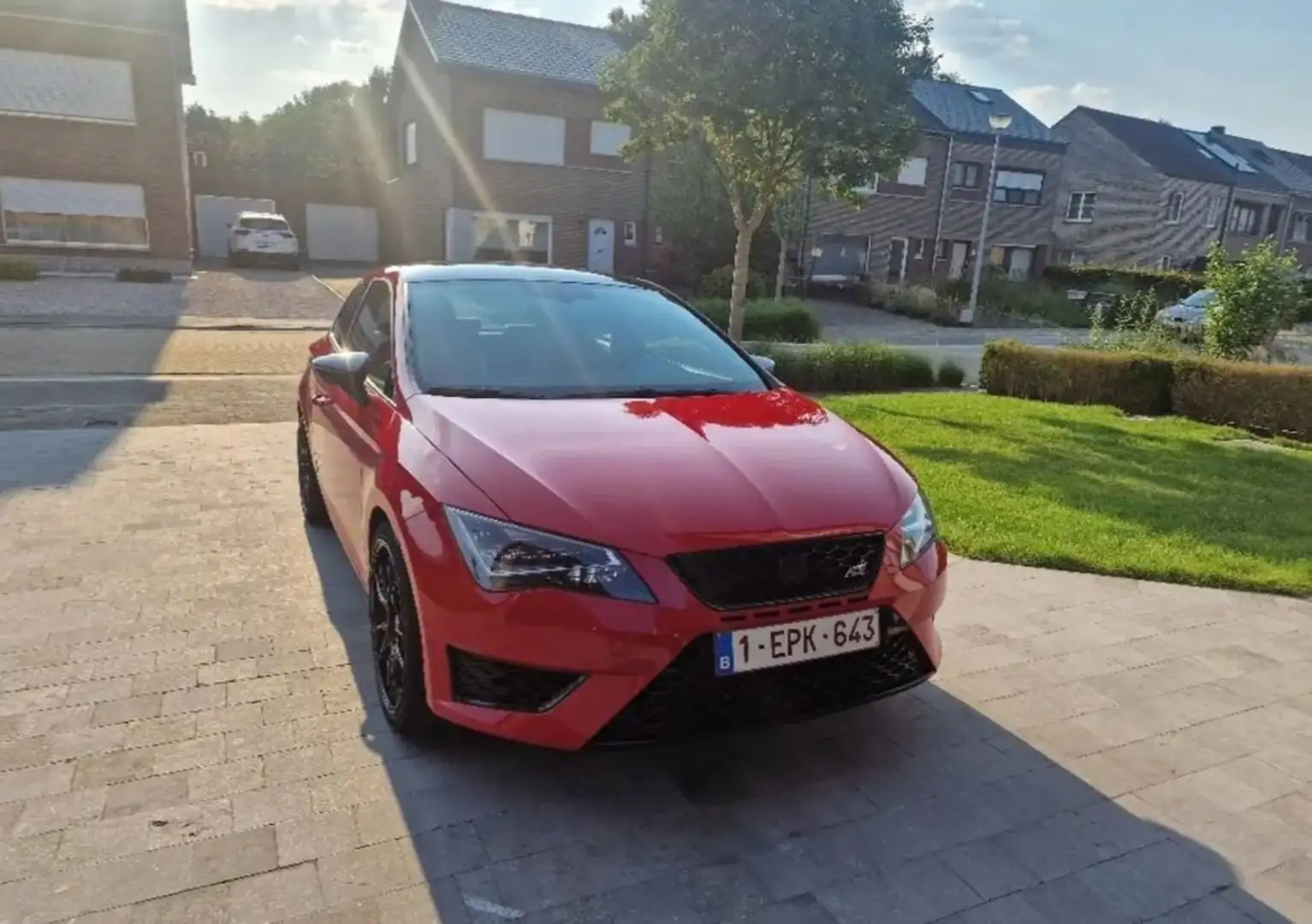 SEAT Leon Leon 2.0 TSI Cupra DSG Rouge - 2