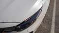 Kia Optima Optima SW 1.7 crdi GT Line Premium Pack 141cv Bianco - thumbnail 10