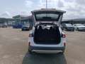 Ford Kuga 2.0 ecoblue mhev Titanium GB770CW Bianco - thumbnail 5