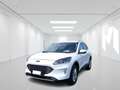 Ford Kuga 2.0 ecoblue mhev Titanium GB770CW Bianco - thumbnail 1