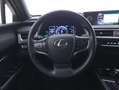 Lexus UX 250h Hybrid Business 2.0 Full Hybrid 184CV Grigio - thumbnail 11