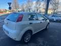 Fiat Punto n1 5 posti autocarro  2015 6b gpl Bianco - thumbnail 2