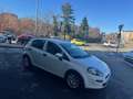 Fiat Punto n1 5 posti autocarro  2015 6b gpl Bianco - thumbnail 1