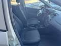 Fiat Punto n1 5 posti autocarro  2015 6b gpl Bianco - thumbnail 4