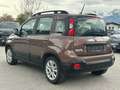 Fiat Panda 1.2 70 Trussardi Edition Braun - thumbnail 4
