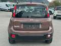 Fiat Panda 1.2 70 Trussardi Edition Braun - thumbnail 5