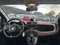 Fiat Panda 1.2 70 Trussardi Edition Braun - thumbnail 12
