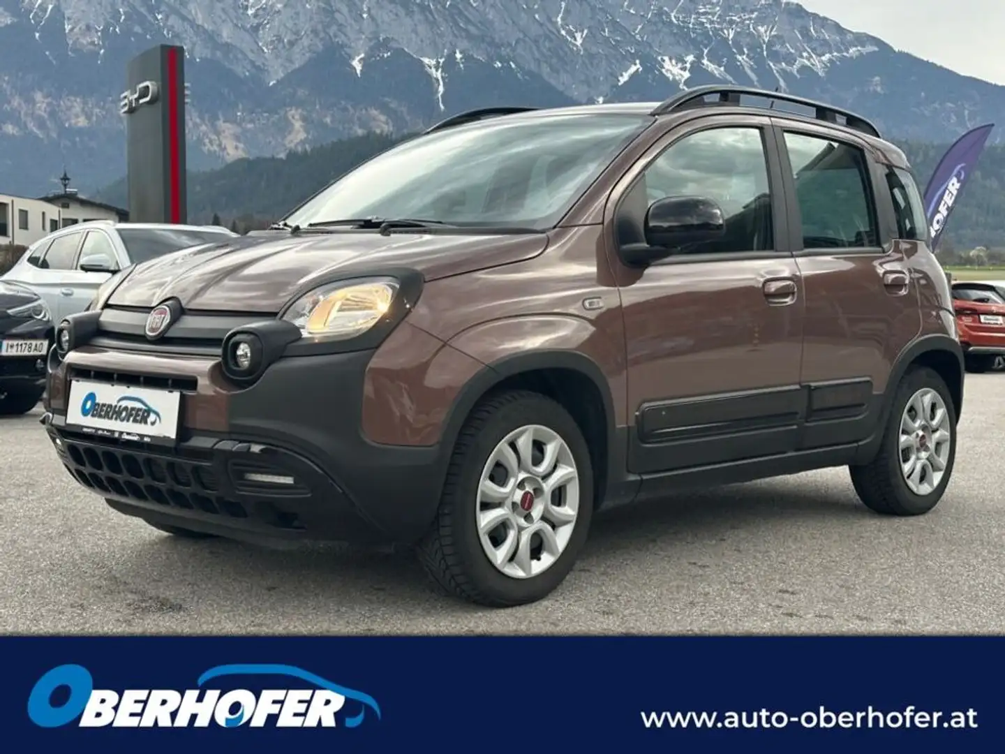 Fiat Panda 1.2 70 Trussardi Edition Braun - 1