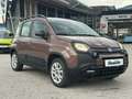 Fiat Panda 1.2 70 Trussardi Edition Braun - thumbnail 8