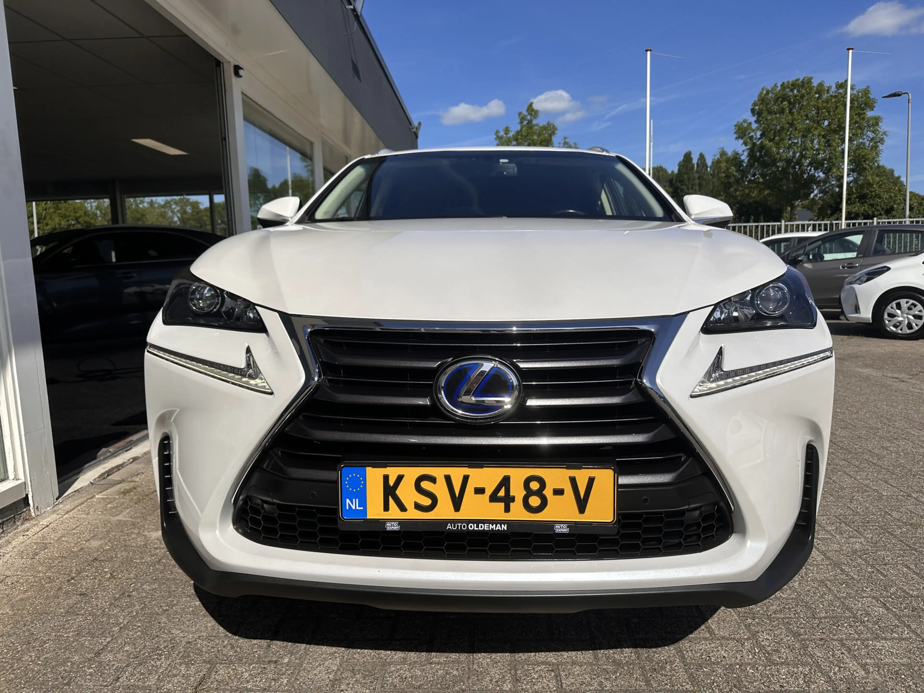 Lexus NX 300h AWD Luxury Line LEDER,CLIMA,NAVI,PARELMOER — photo 2