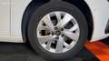 Citroen C4 Picasso shine 1.6 bluehdi 120 cv 7 places garantie 6 mois Blanc - thumbnail 20