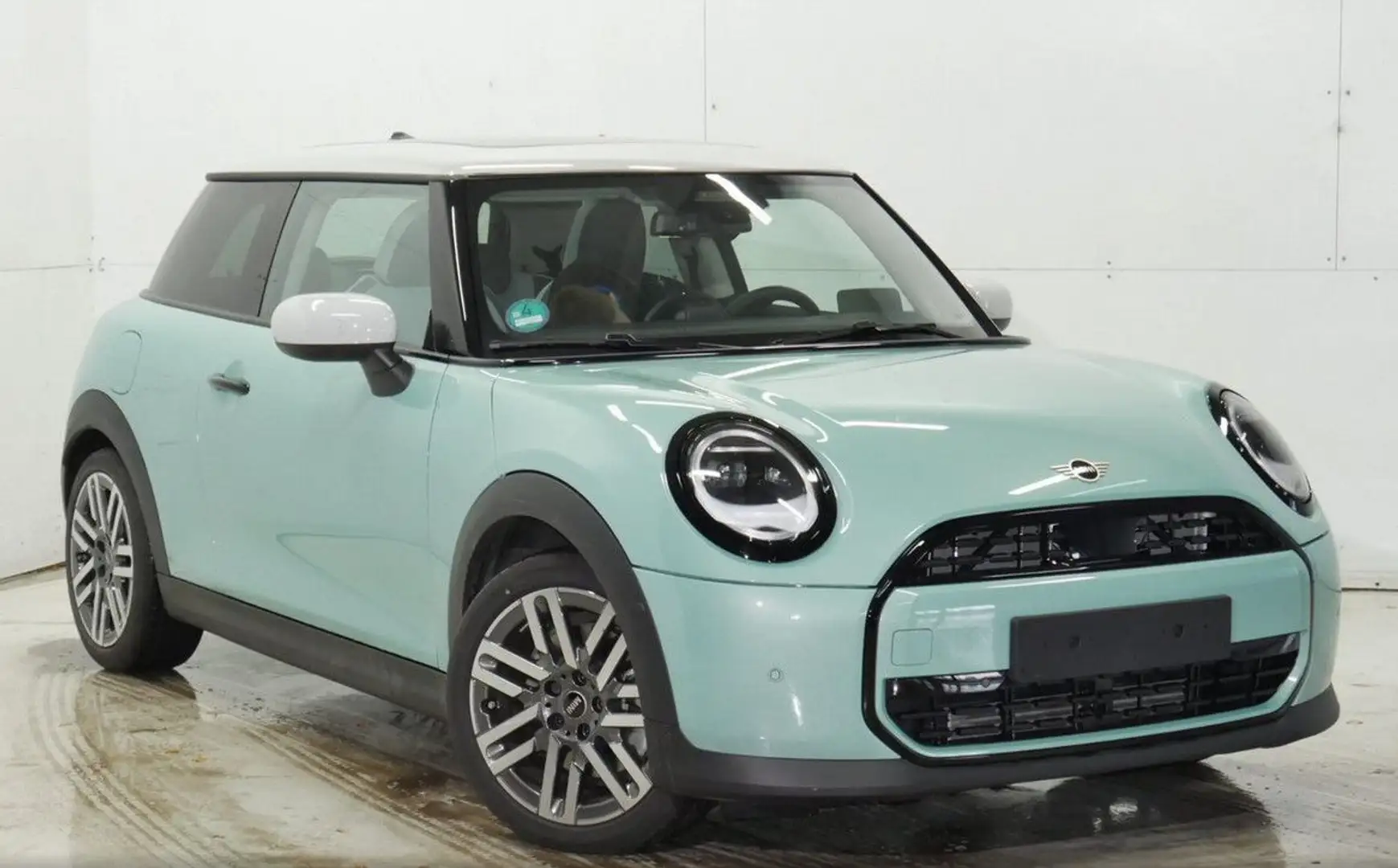 MINI Cooper C Classic Trim Paket-M Pano HuD Kamera Grün - 1