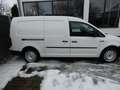 Volkswagen Caddy Maxi Kasten Weiß - thumbnail 5