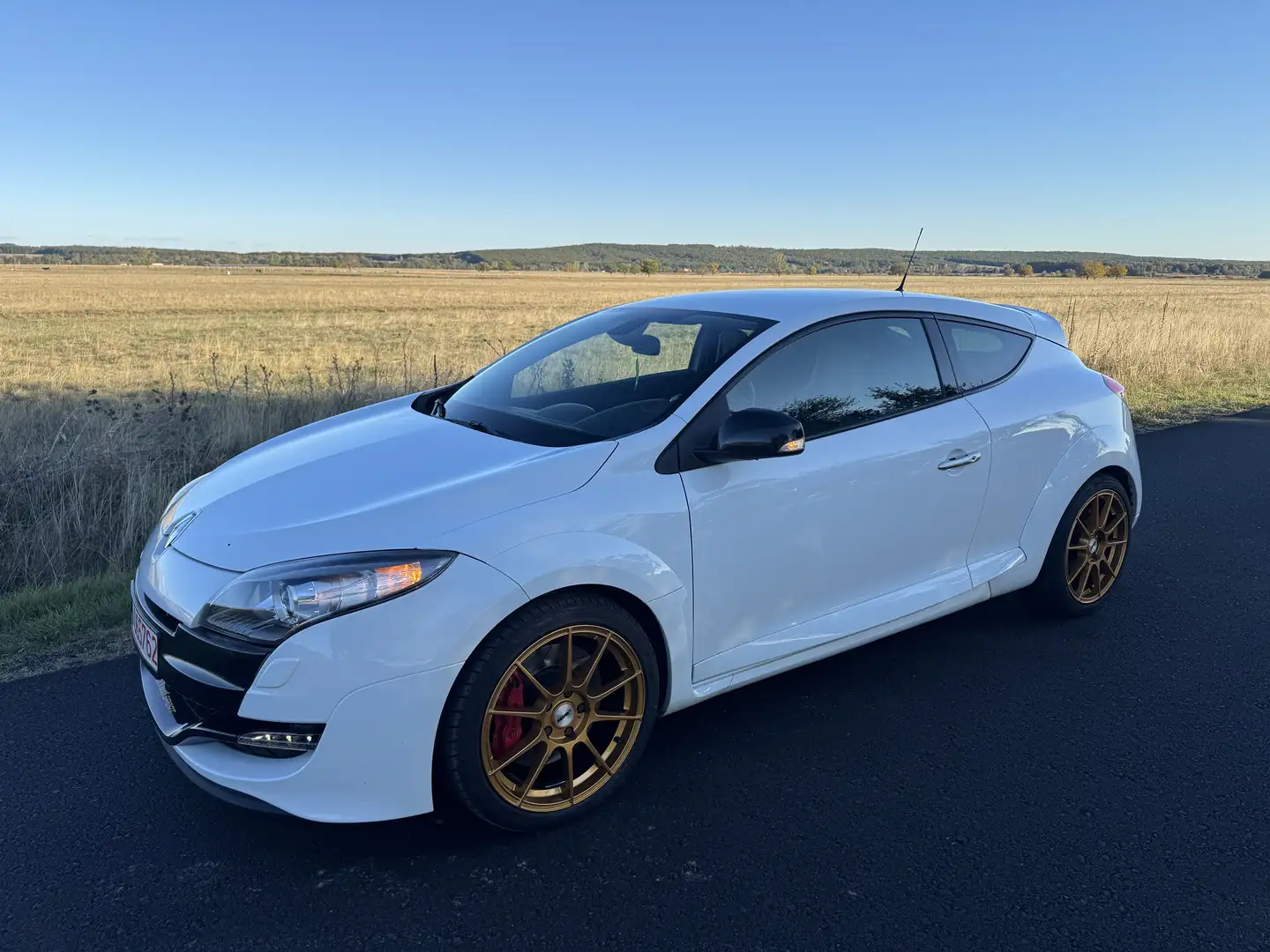 Renault Megane TCe 250 Coupe Sport - 1
