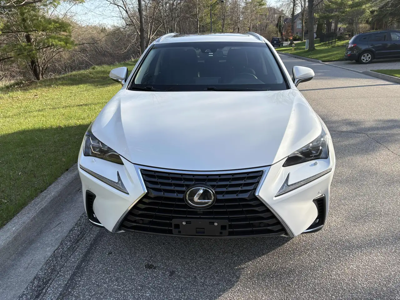 Lexus NX fotografie Lexus NX