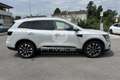 Renault Koleos Koleos dCi 175CV X-Tronic Energy Executive Bianco - thumbnail 4