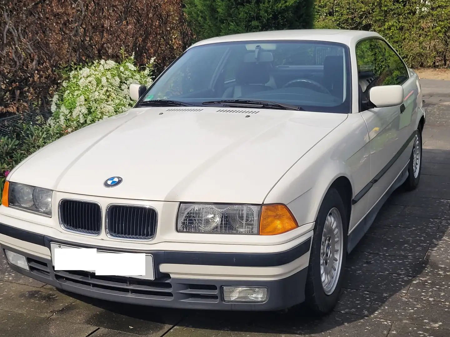 BMW 325 325i - 1