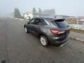 Ford Kuga Kuga 2,5 Duratec PHEV Titanium Aut. Titanium Grau - thumbnail 4