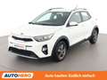 Kia Stonic 1.2 Österreich Edition Weiß - thumbnail 1